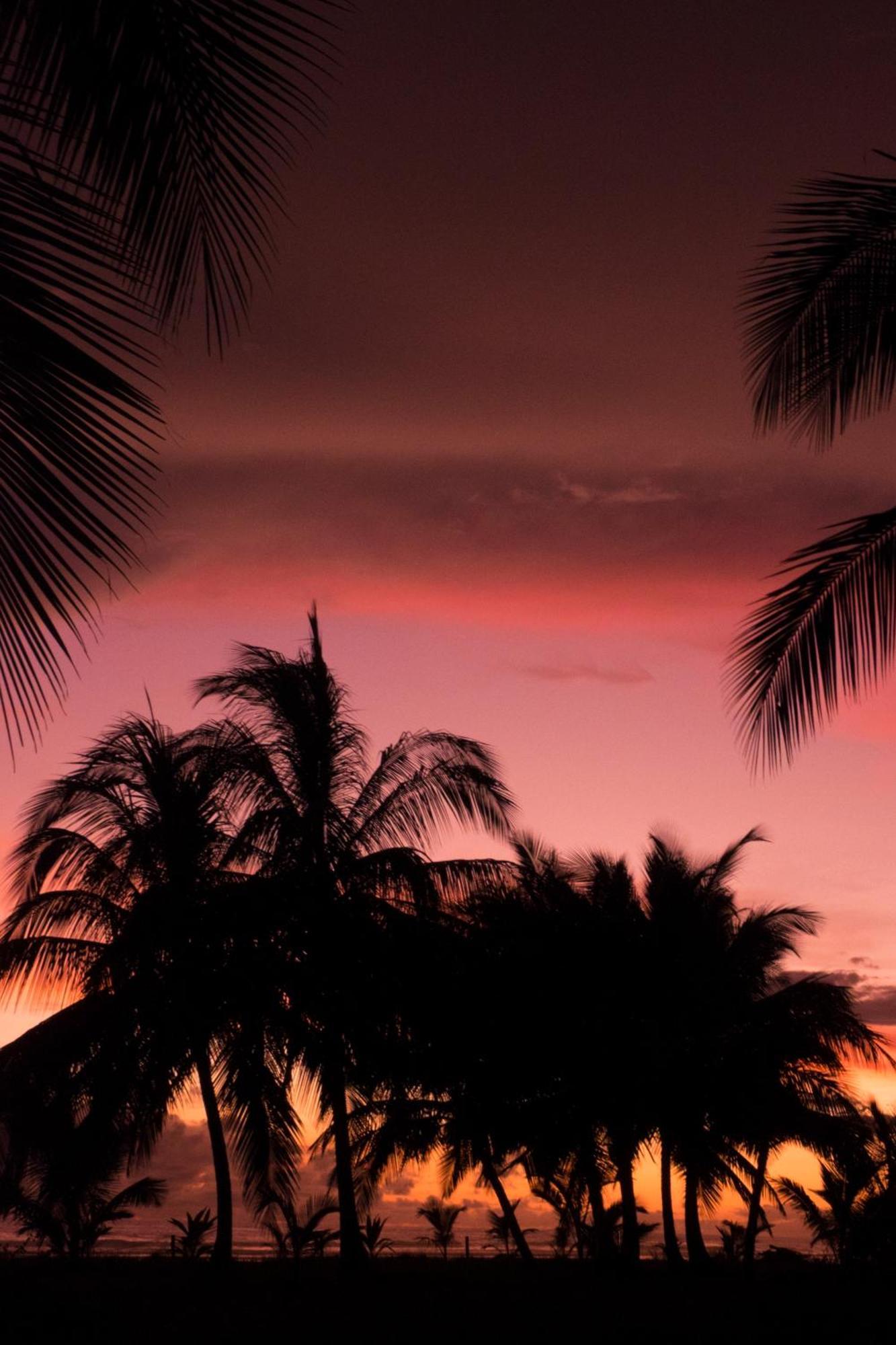 Show Pony Beach Resort And Suites Las Lajas  Exterior foto